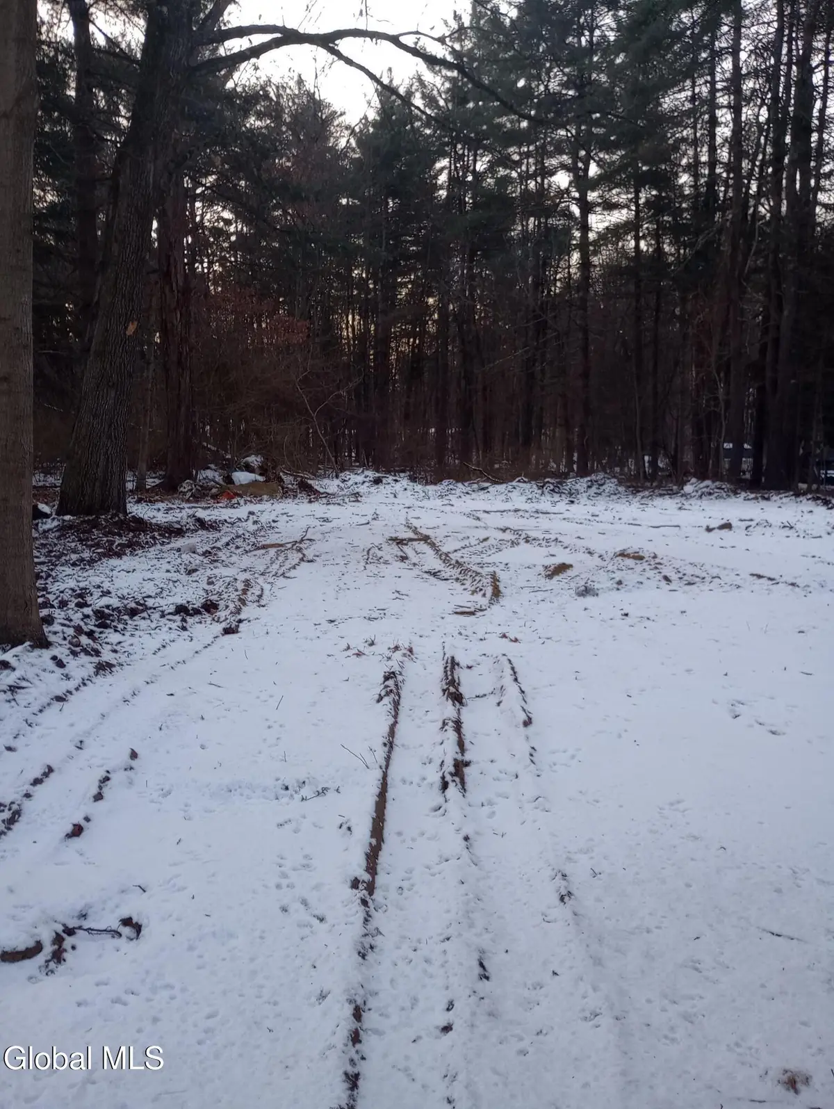 431 Northern Pines Road, Wilton, NY 12831 - Image #1