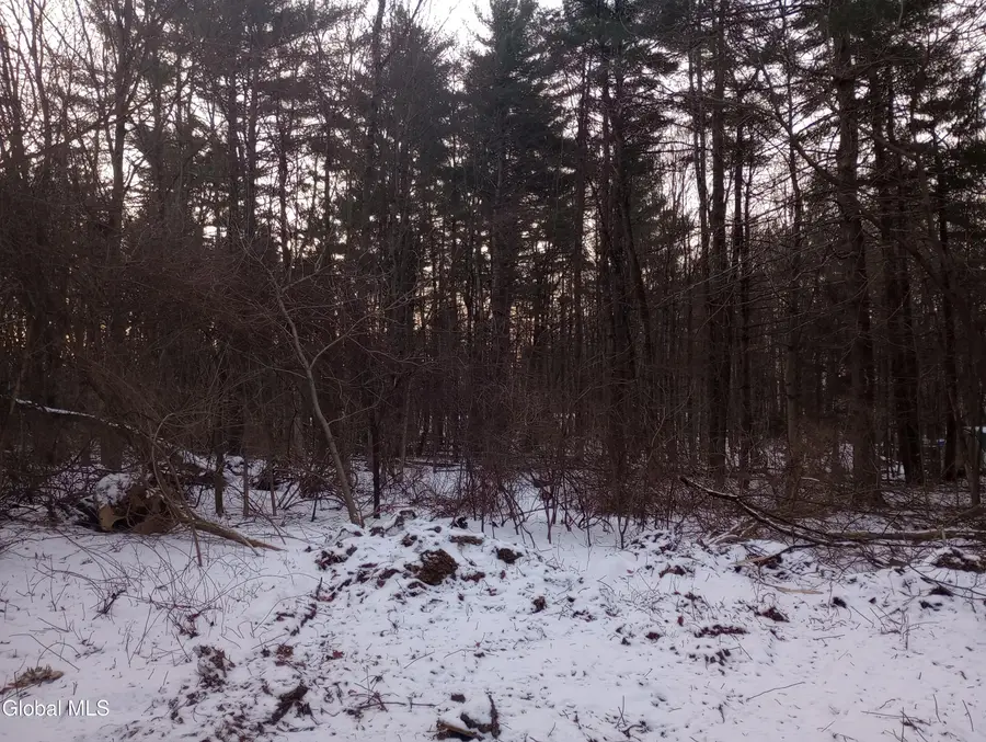 431 Northern Pines Road, Wilton, NY 12831 - Image #3