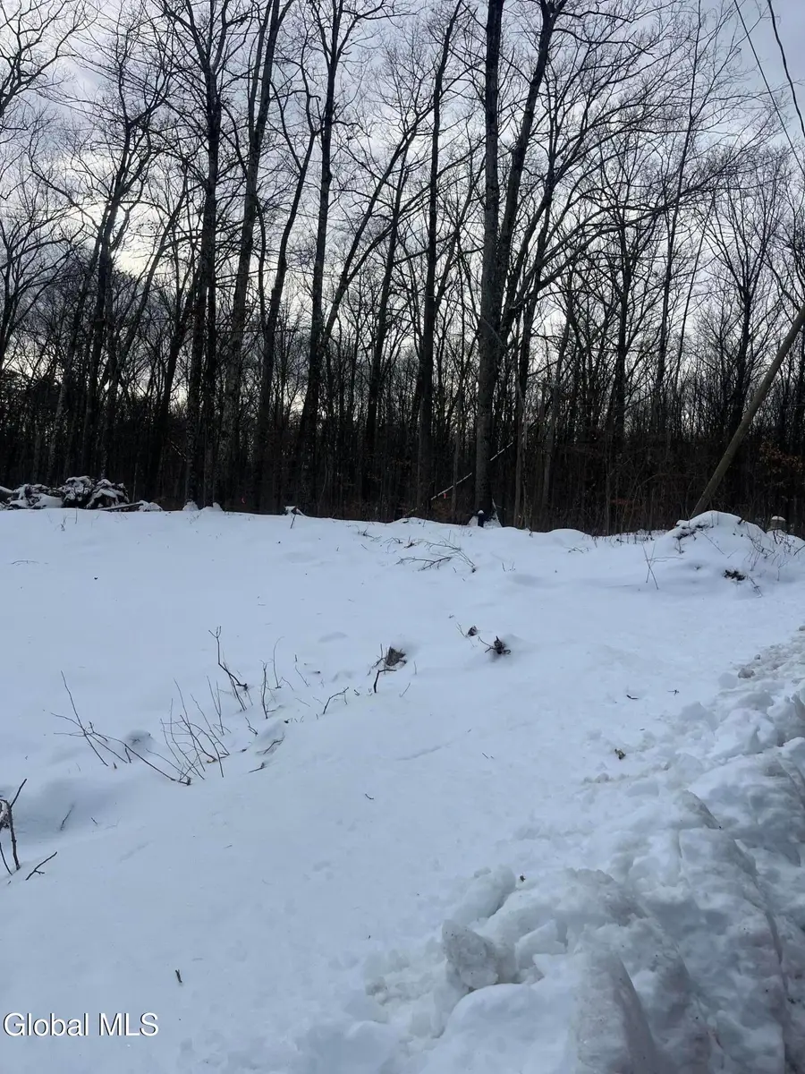 8 Nacy Road, Queensbury, NY 12804 - Image #3