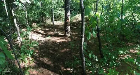 L8 State Route 30, Wells, NY 12190 - Image #2