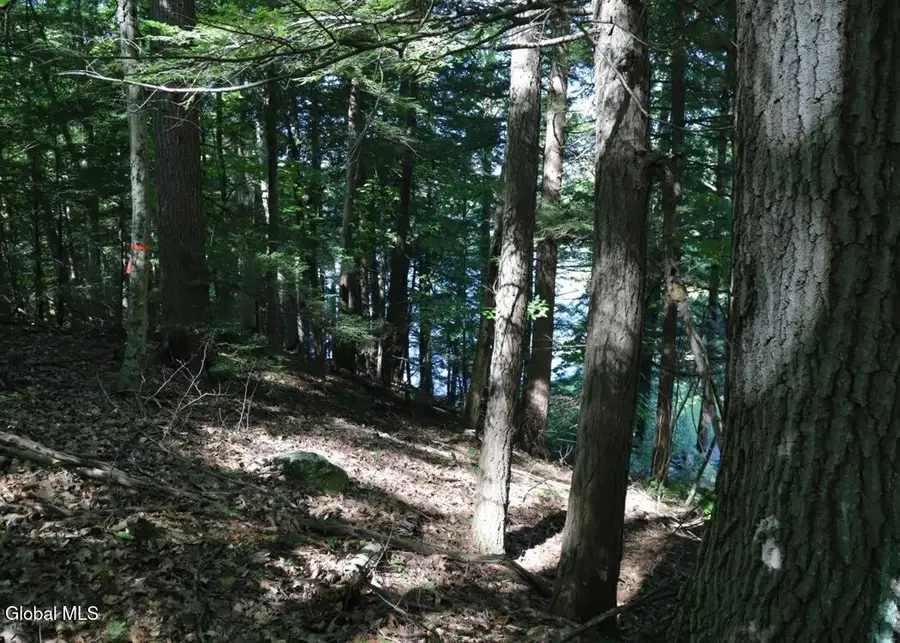 36 Fuller Drive #Prvt, Corinth, NY 12822 - #3