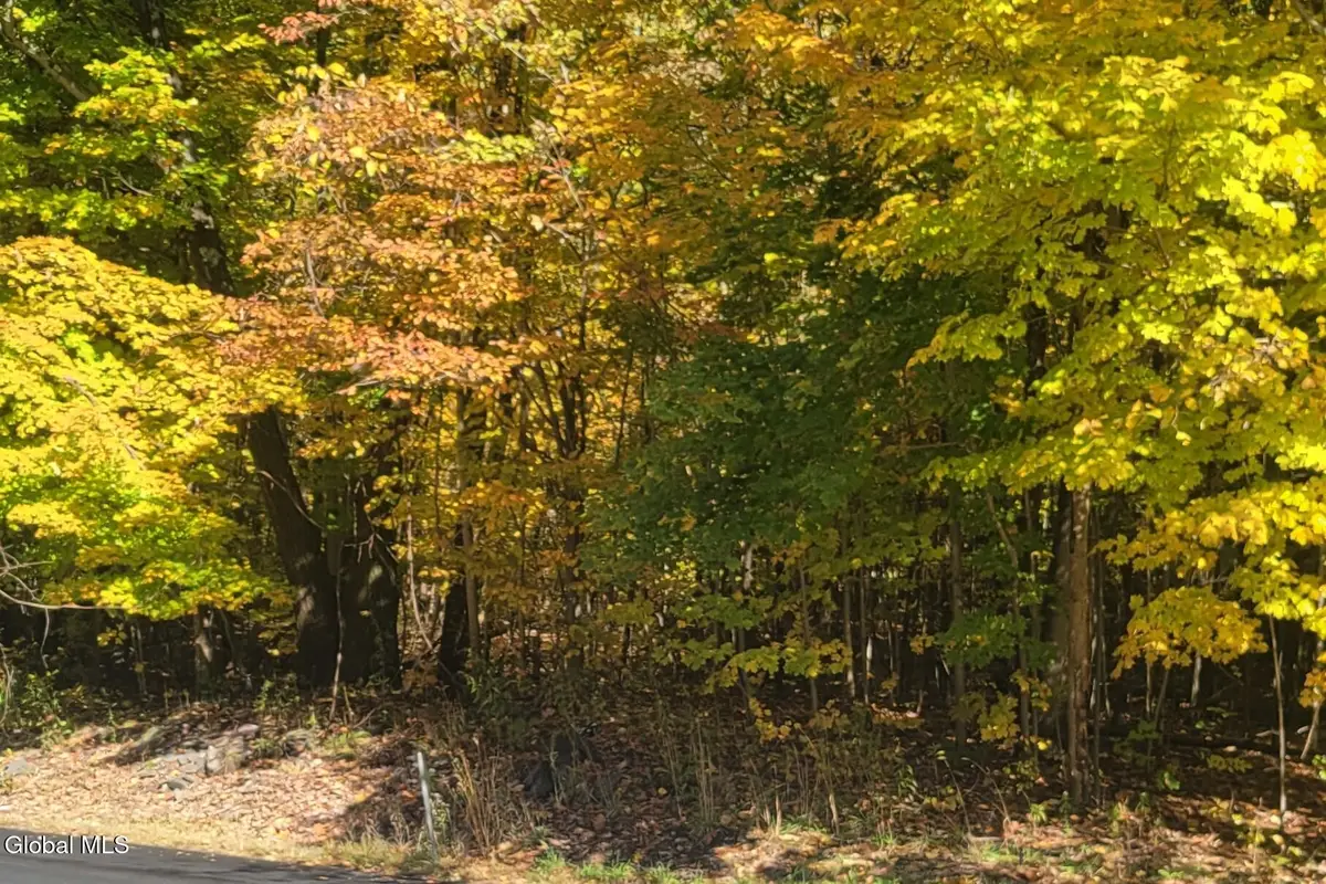 L3 Route 145, Cairo, NY 12413 - Image #1