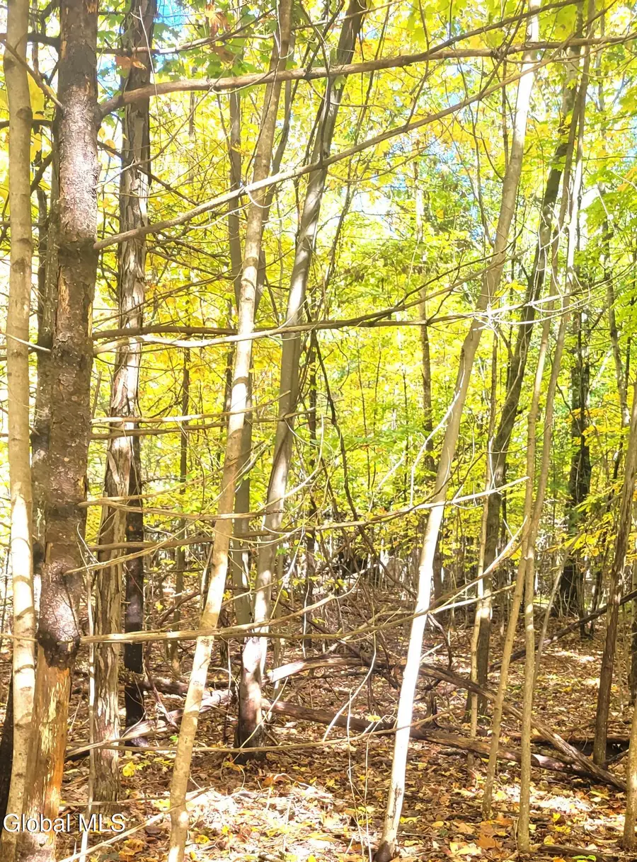 L3 Route 145, Cairo, NY 12413 - Image #3