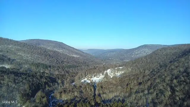 L1 Peakville Road, Hancock, NY 13783 - Image #2