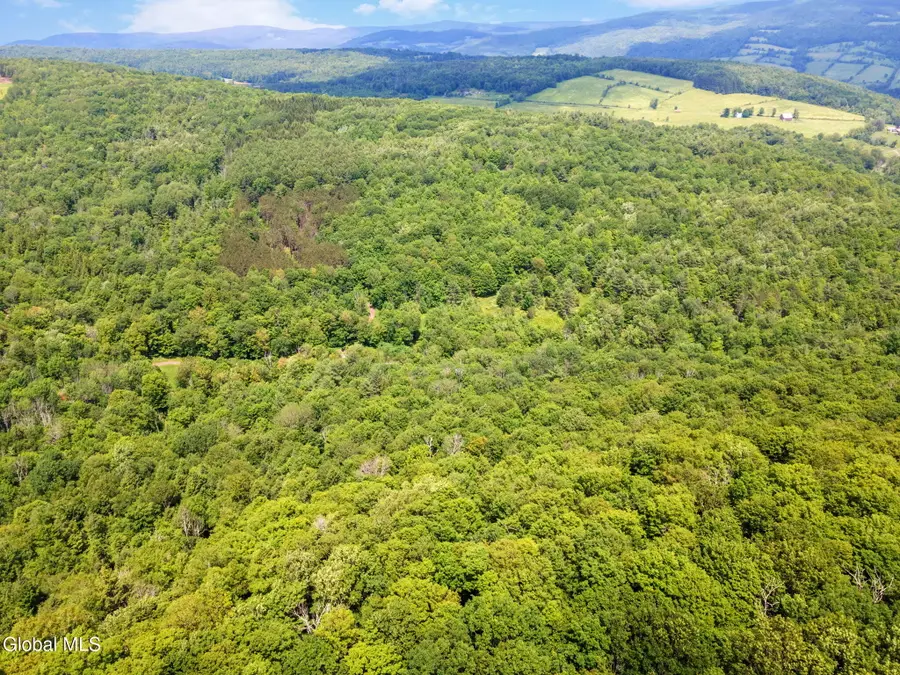 255 Lassen Road, Broome, NY 12122 - Image #3