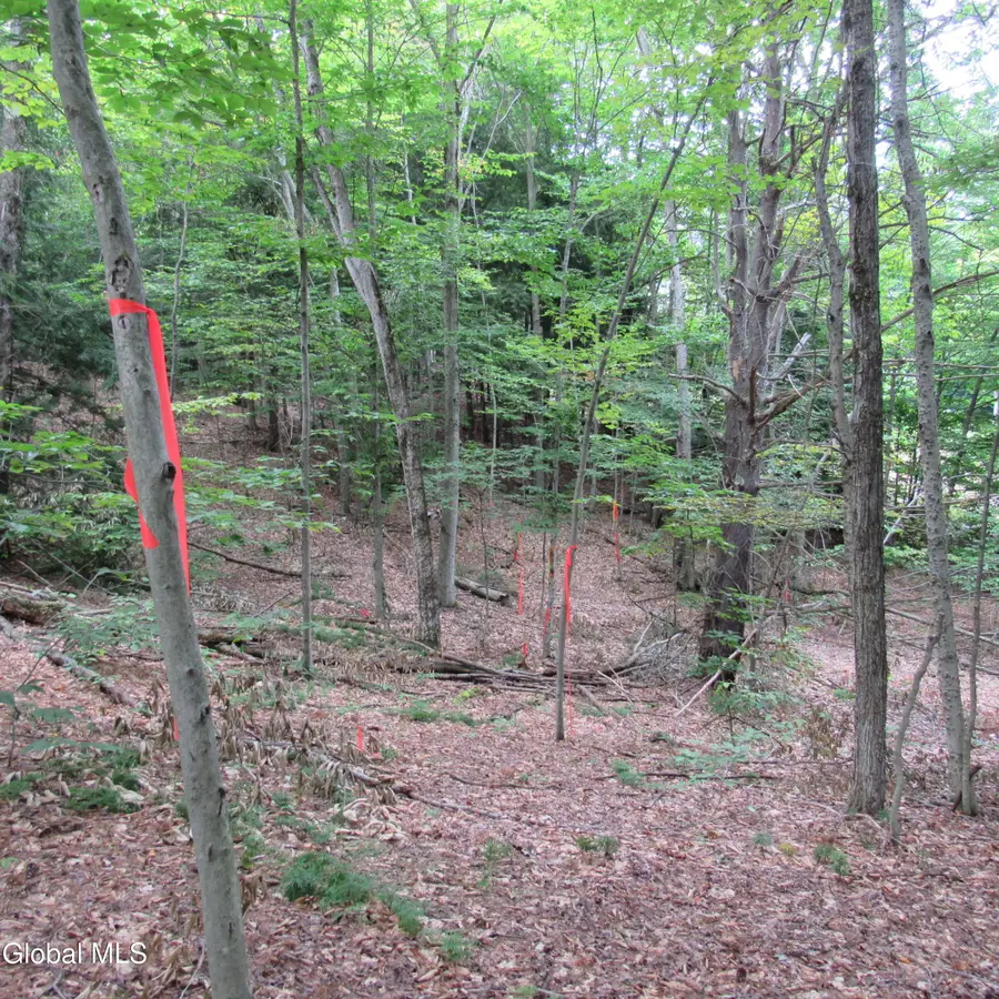 L16 Barker Road, Edinburg, NY 12134 - Image #3