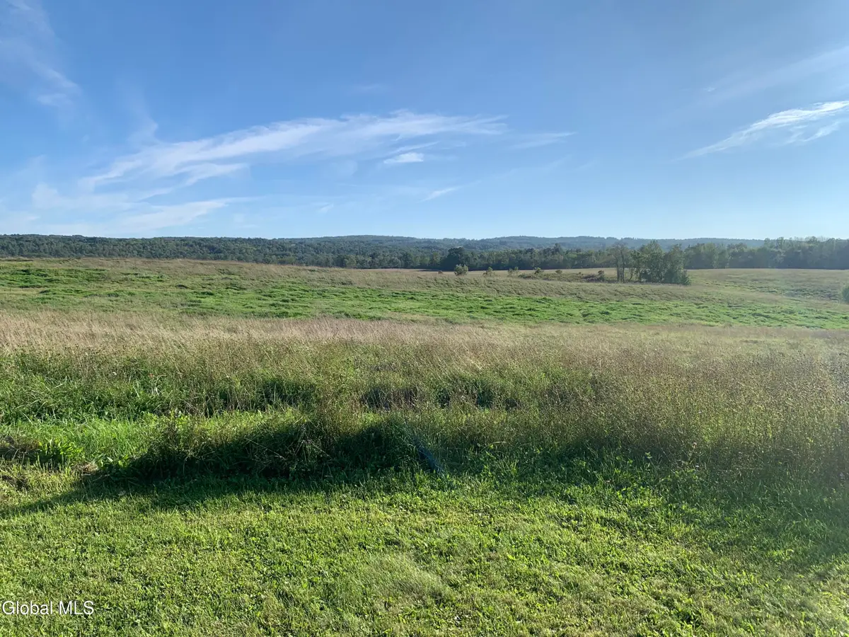 L34.111 Western Turnpike, Duanesburg Town, NY 12066 - Image #1