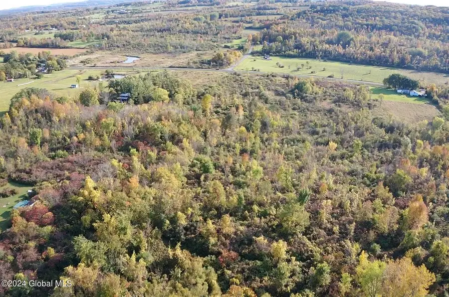 L4 Mapletown Road, Root, NY 12166 - Image #3