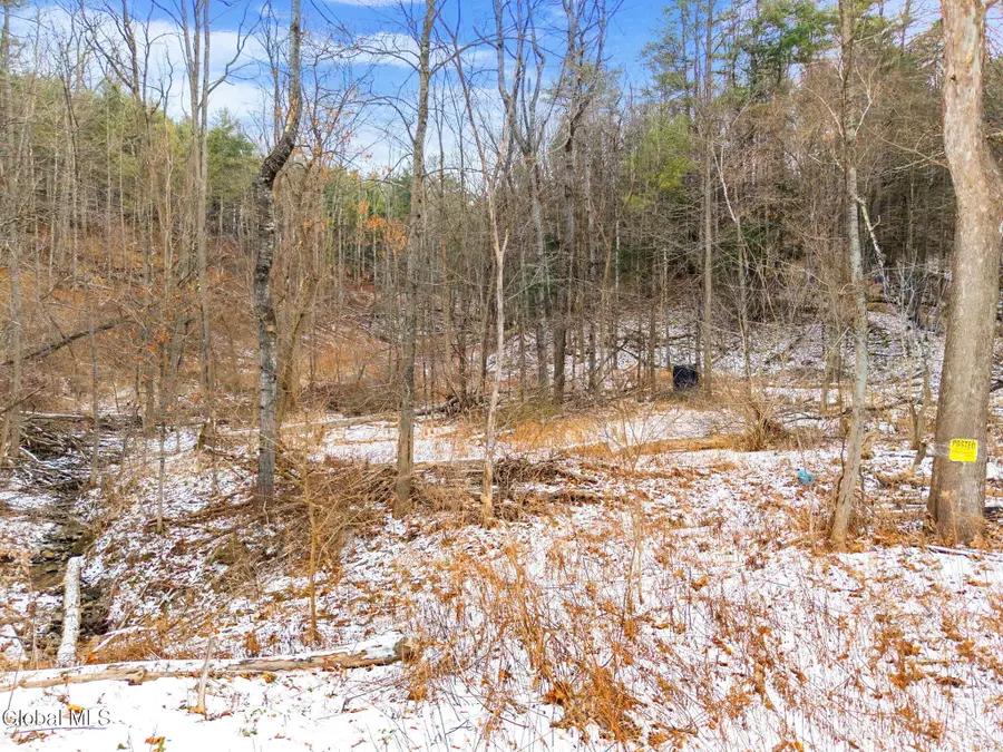 L4 Flat Creek Road, Gilboa, NY 12076 - Image #3