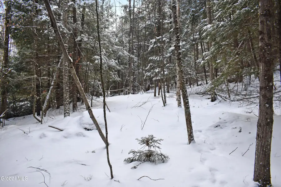 20 Carriage Knolls Road, Chester, NY 12817 - Image #3