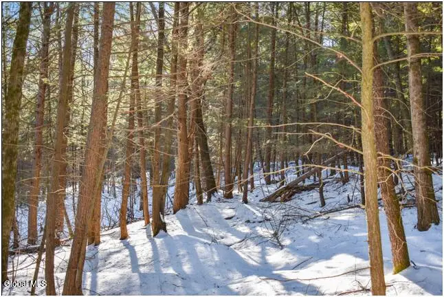 22 Carriage Knolls Road, Chester, NY 12817 - Image #2