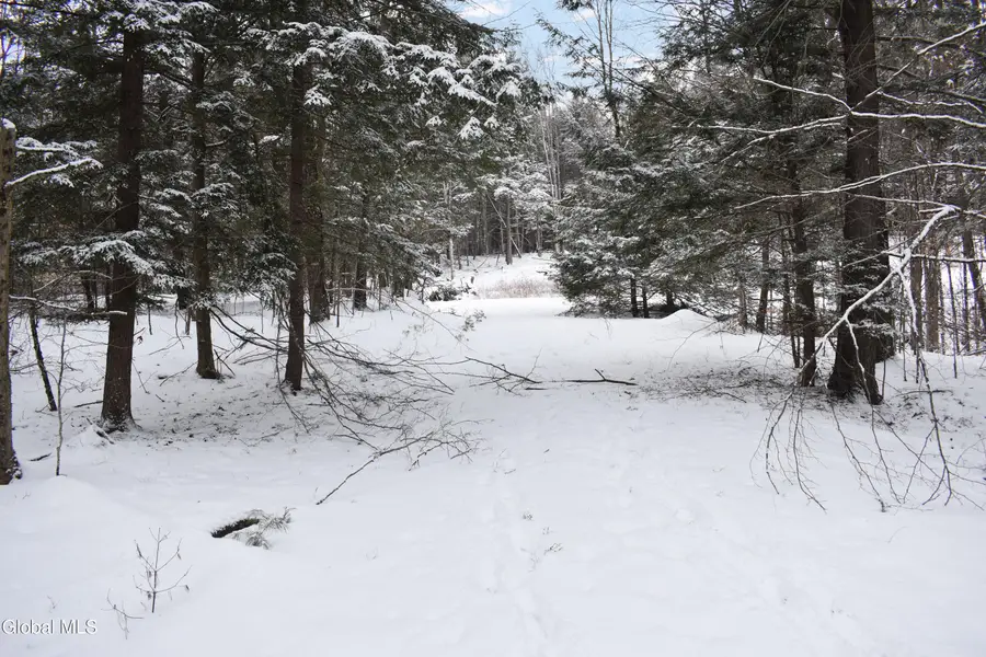 37 Carriage Knolls Road, Chester, NY 12817 - Image #3