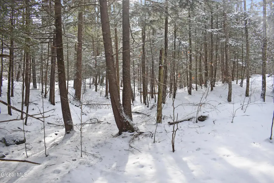 60 Carriage Knolls Road, Chester, NY 12817 - Image #3