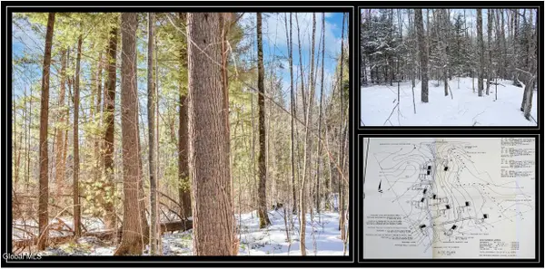 62 Carriage Knolls Road, Chester, NY 12817