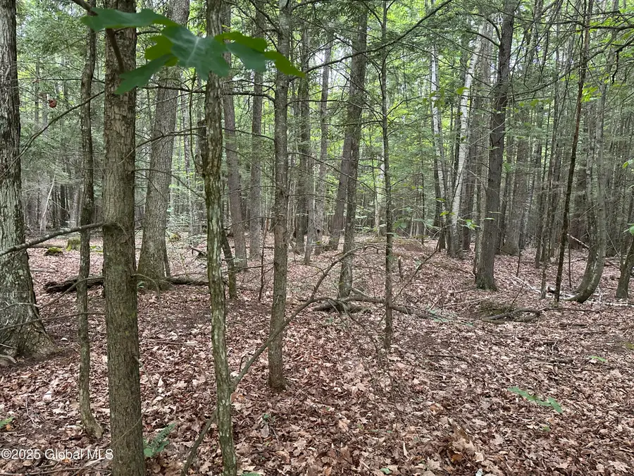 2 Diamond Ridge Road, Diamond Point, NY 12824 - Image #3