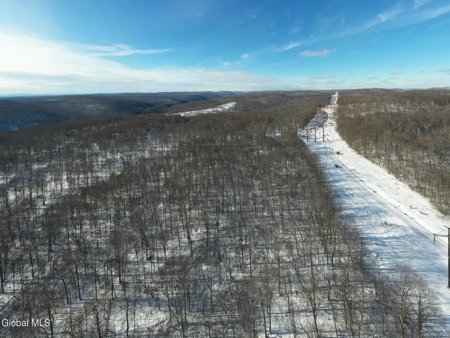 L9 Methol Cooks Falls, Roscoe, NY 12776 - Image #3