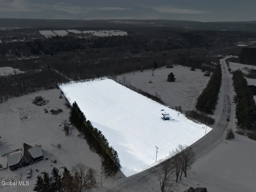 1480 Wells Road, Pattersonville, NY 12137 - Image #3