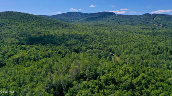 49 The Woods, Johnsburg, NY 12853