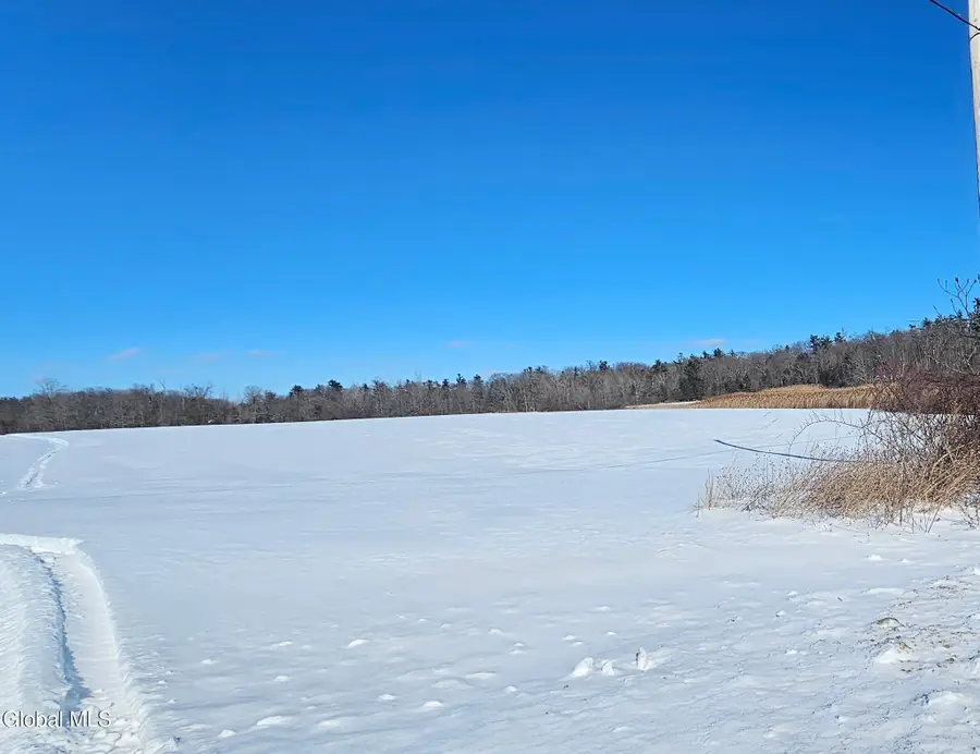 L29A Ridge Road, Stuyvesant, NY 12173 - #3