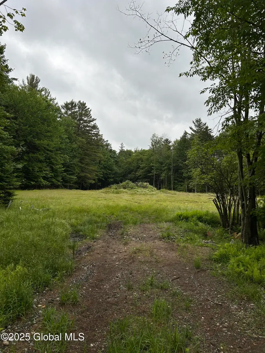 L40.12 Persch Road, Bleecker, NY 12078 - #2