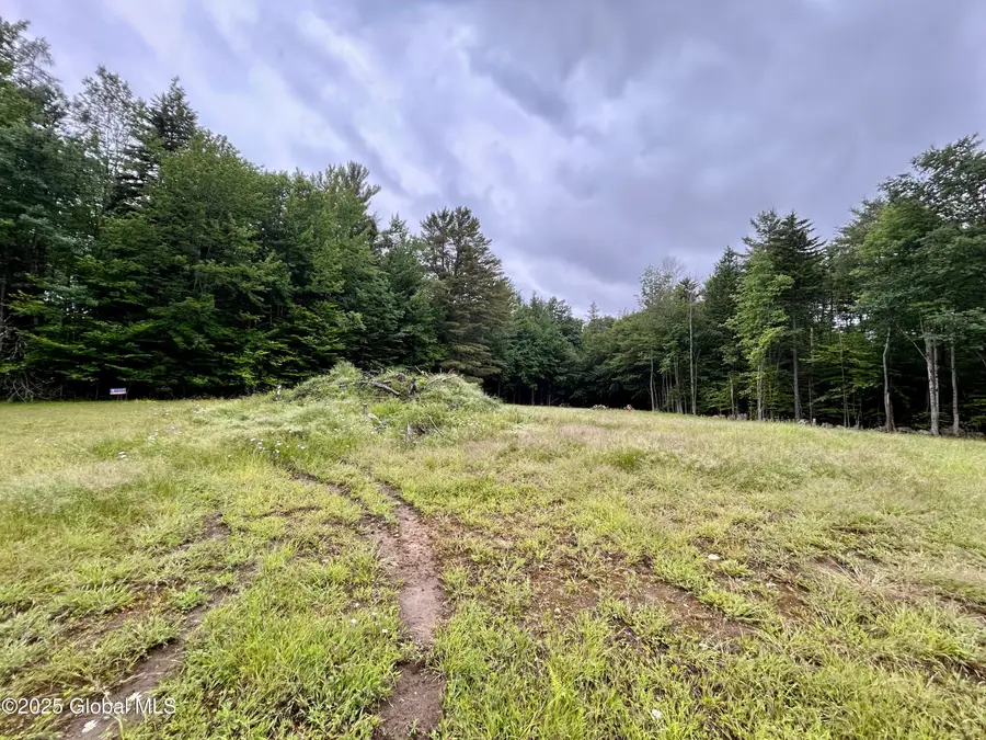 L40.12 Persch Road, Bleecker, NY 12078 - #3