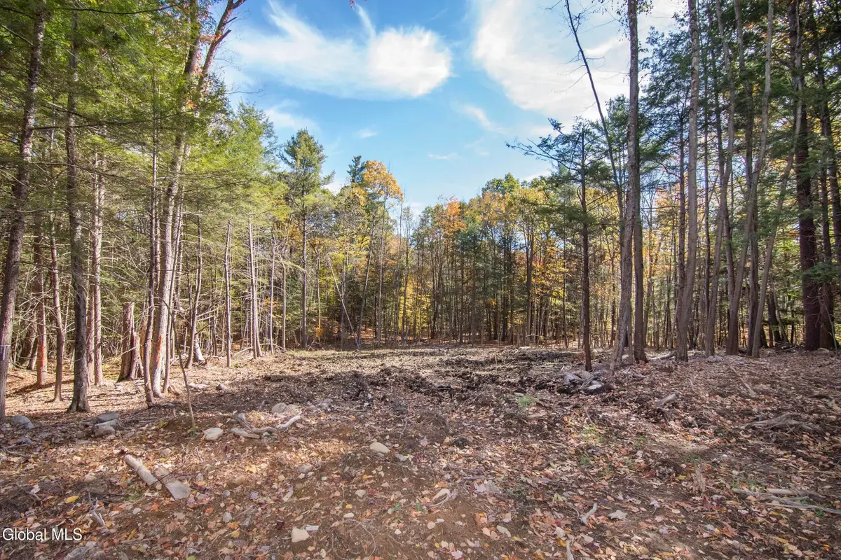 103a Sand Hill Road, Greenfield, NY 12833 - #1