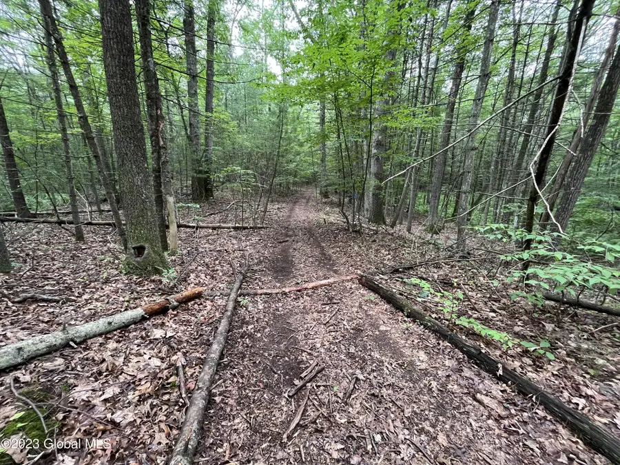 L19.22 Homestead Road, Northumberland, NY 12866 - #3