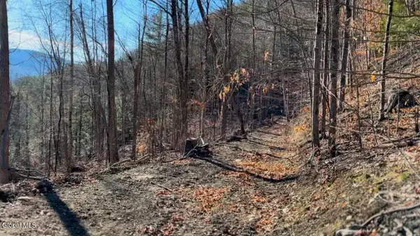 0 Gorge Road, Middleburgh, NY 12122