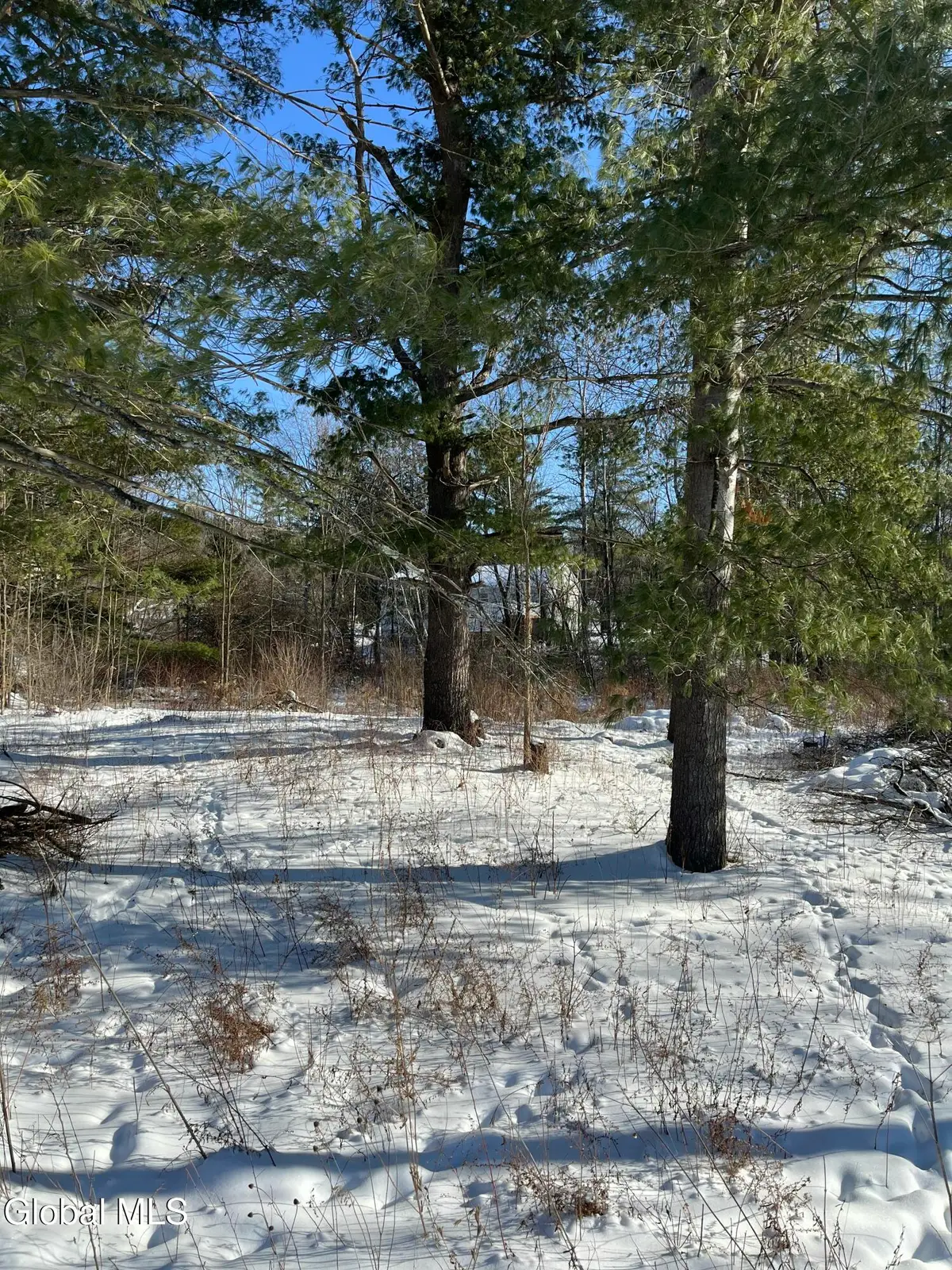 L1 Griffin Avenue, Hoosick Falls, NY 12090 - #1