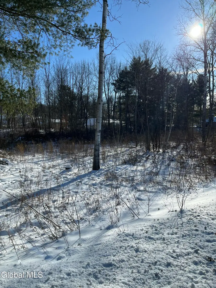 L1 Griffin Avenue, Hoosick Falls, NY 12090 - #2