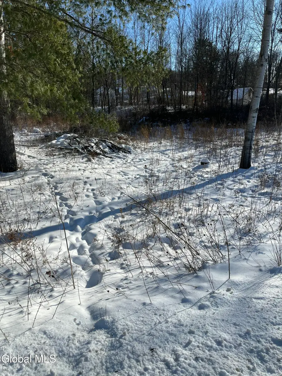 L1 Griffin Avenue, Hoosick Falls, NY 12090 - #3