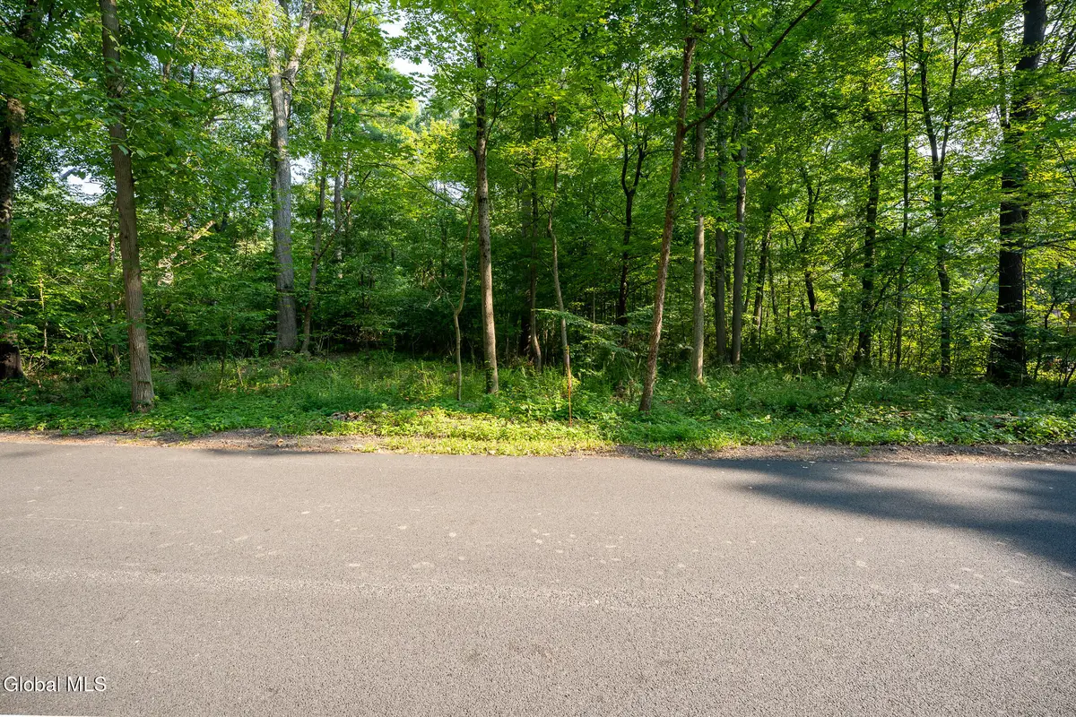 47 Wheeler Road, Glenmont, NY 12077 - #1