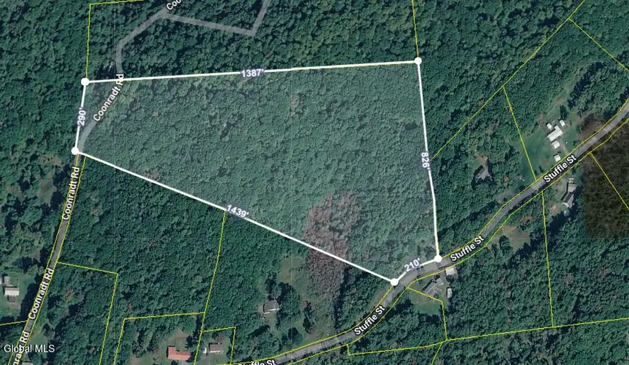 L5.1 Stuffle Street, Cropseyville, NY 12052 - #2