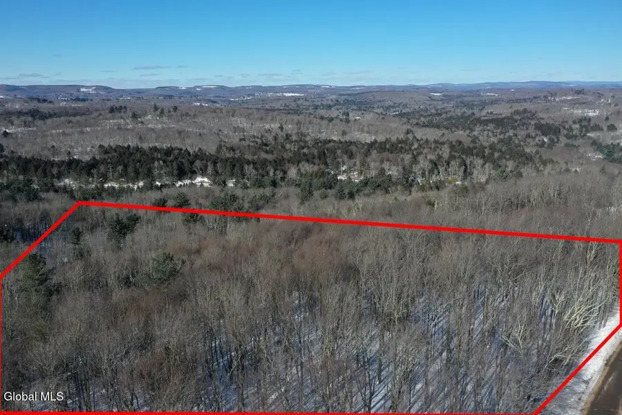 L37.1 Steiglitz Road, Liberty, NY 12754 - #2
