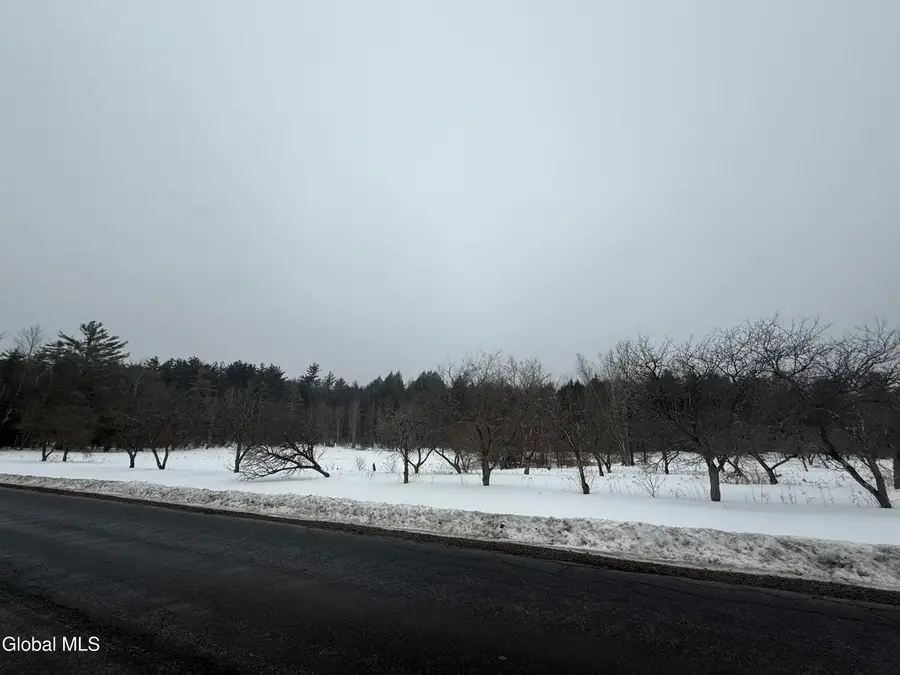L172 Greens Corner Road, Galway, NY 12074 - #2