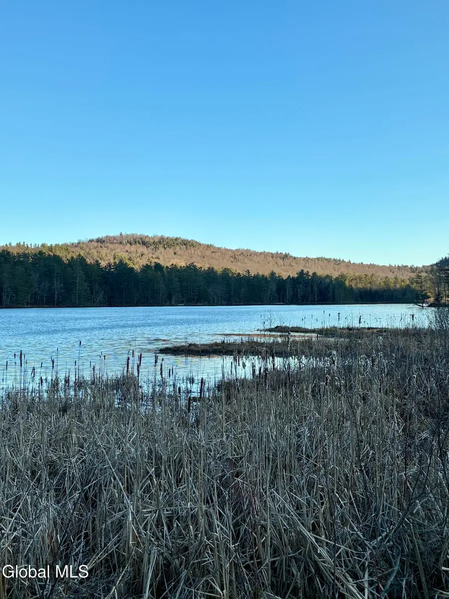 420 Collins Gifford Valley Road #Lot 7, Northville, NY 12134 - #2