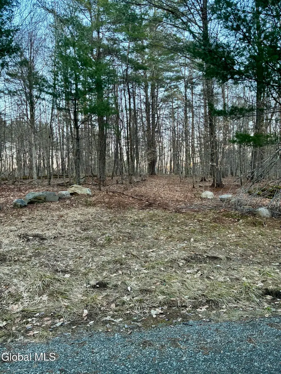 420 Collins Gifford Valley Road #Lot 7, Northville, NY 12134 - #3