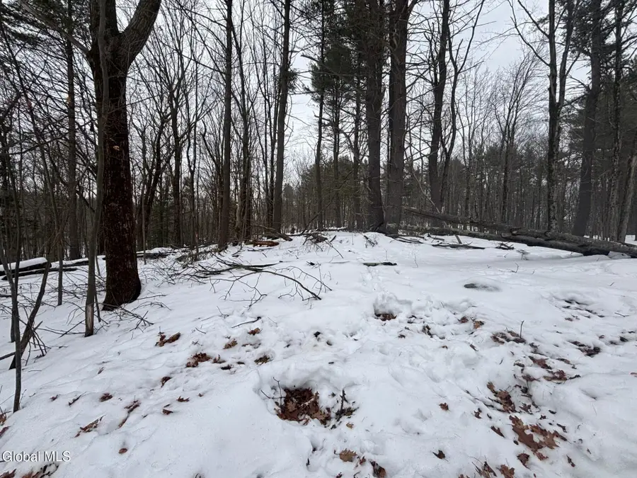 L1.22 Stuffle Street, Cropseyville, NY 12052 - #3