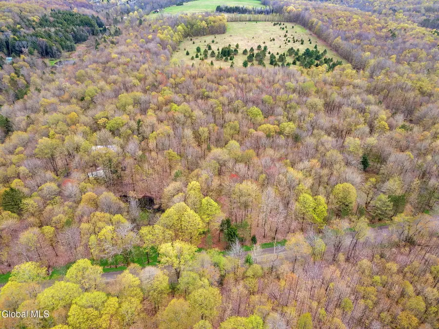 L20 Hakes Calhoun Road, Pitcher, NY 13136 - #2