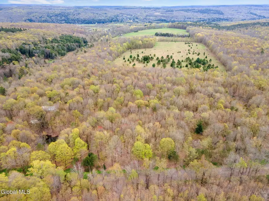 L20 Hakes Calhoun Road, Pitcher, NY 13136 - #3