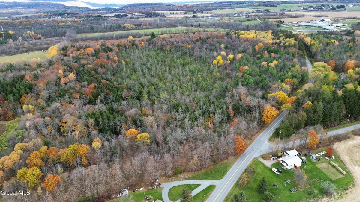 L1 Flat Creek Road, Root, NY 12166 - #1
