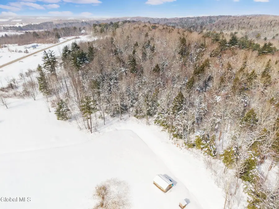 L21.111 Shenendoah Drive, Sloansville, NY 12160 - #2