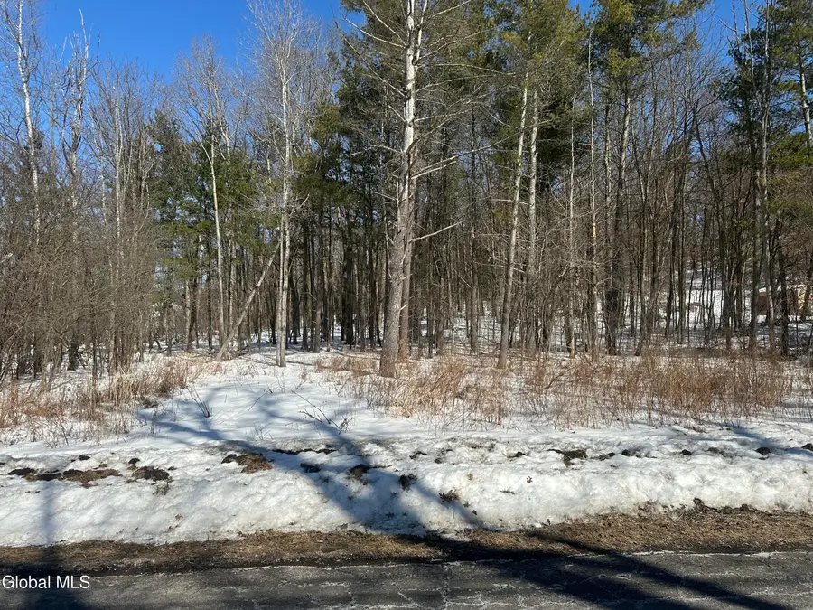 L27 Verda Avenue, Clarksville, NY 12041 - #3