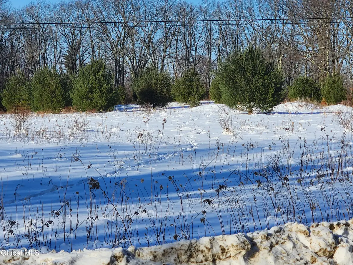 L 23.2 Lynn Road, Poestenkill, NY 12018 - #1