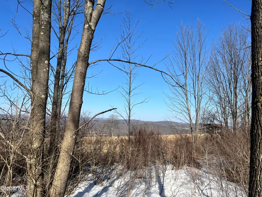 0 Cross Hill Road, Richmondville, NY 12149 - #2