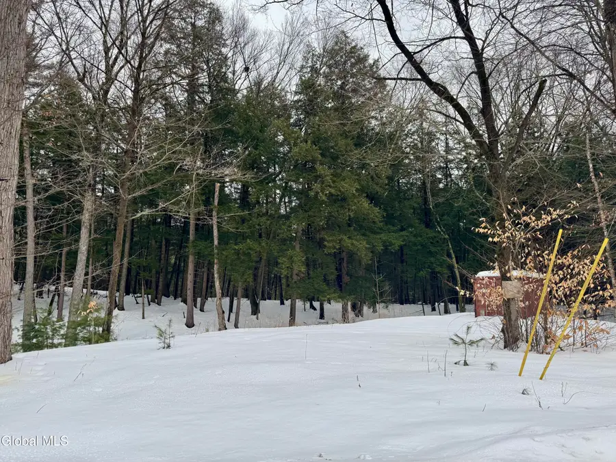 L55 Sagamore Drive, Lake Luzerne, NY 12846 - #2