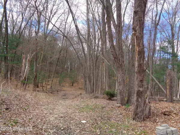 L17.112 Helderberg Avenue, Rotterdam, NY 12306