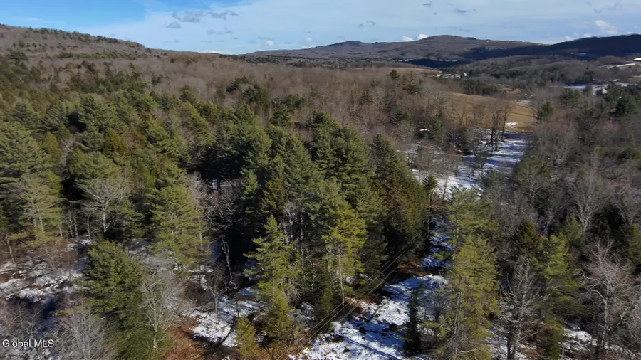 L14 N Harpersfield Road, Harpersfield, NY 13786 - #3