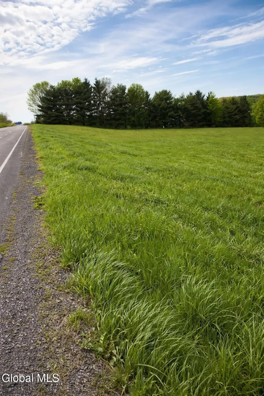 1085 Krumkill Road, Slingerlands, NY 12159 - #2