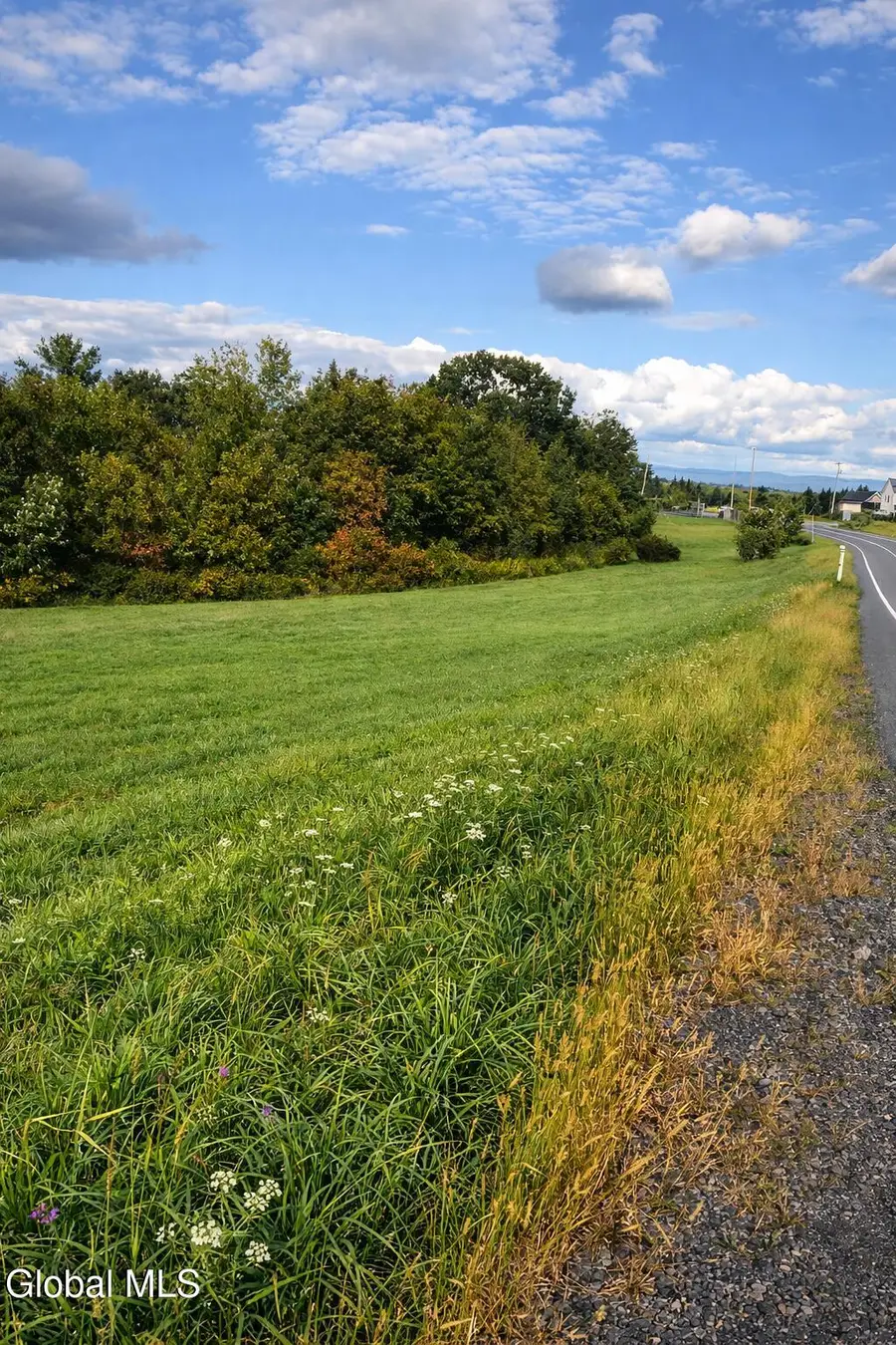 1085 Krumkill Road, Slingerlands, NY 12159 - #3